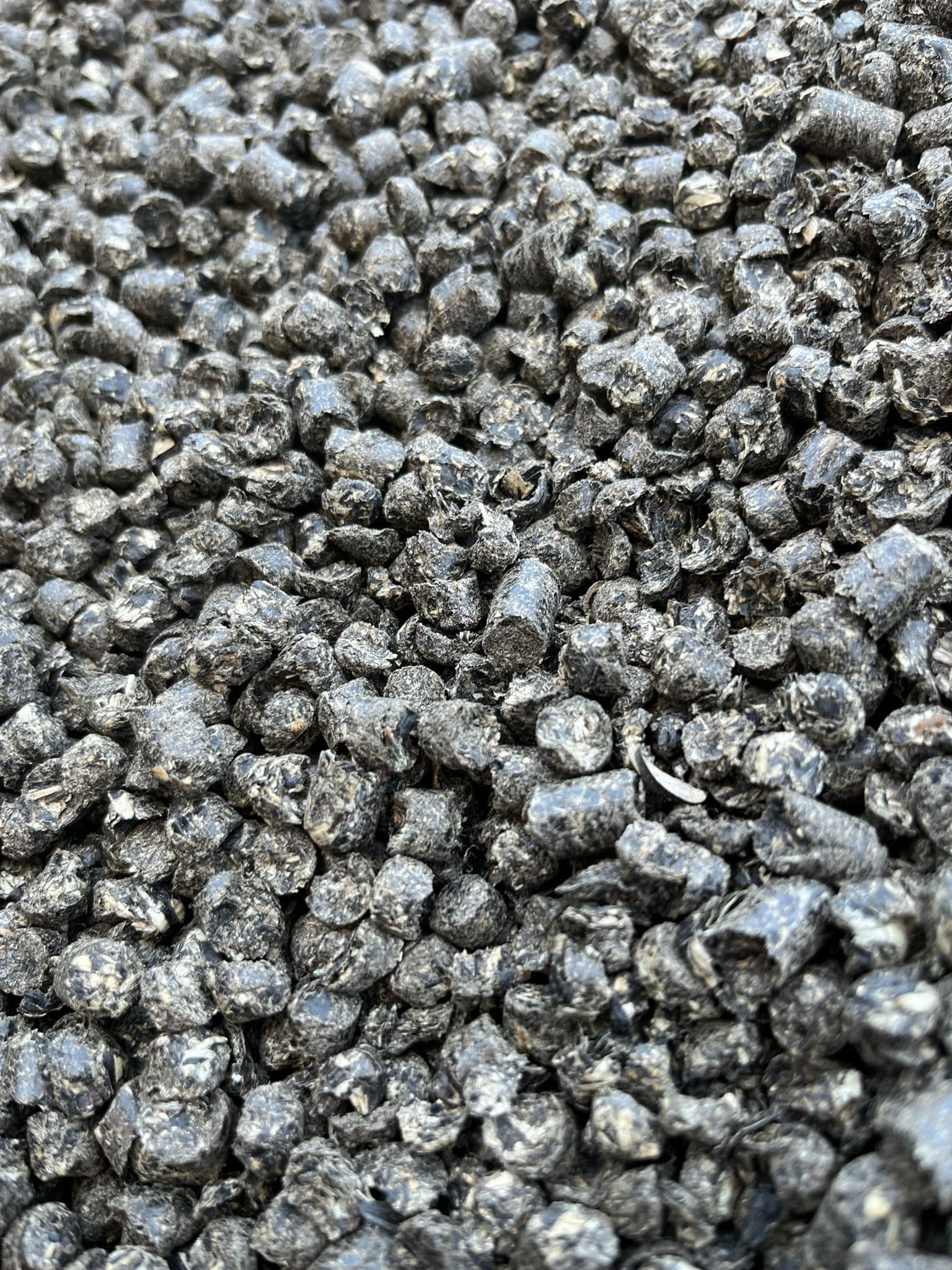 İthal Palet Ayçiçek Küspesi